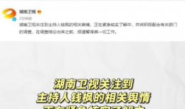 娱乐圈吃瓜词汇,揭秘明星幕后风云